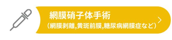 網膜硝子体手術