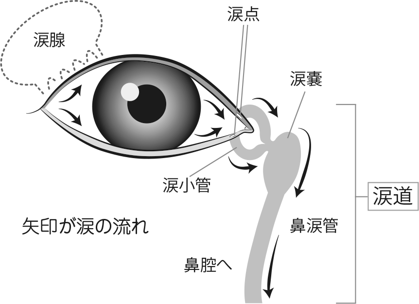 なみだ目（流涙症）